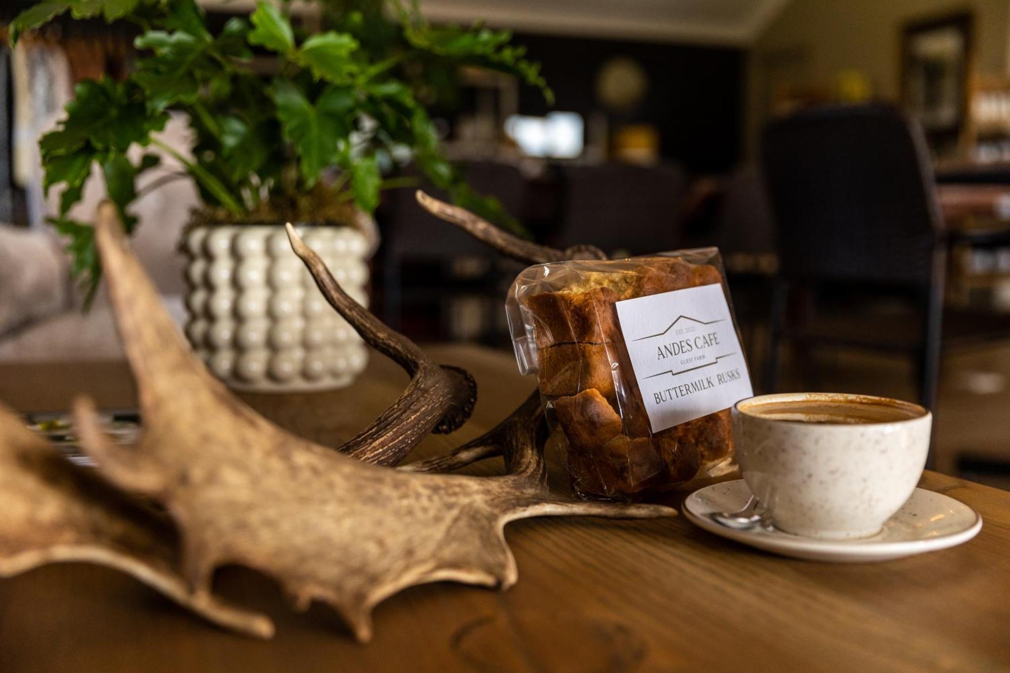 Andes Clarens Guesthouse Ngoại thất bức ảnh