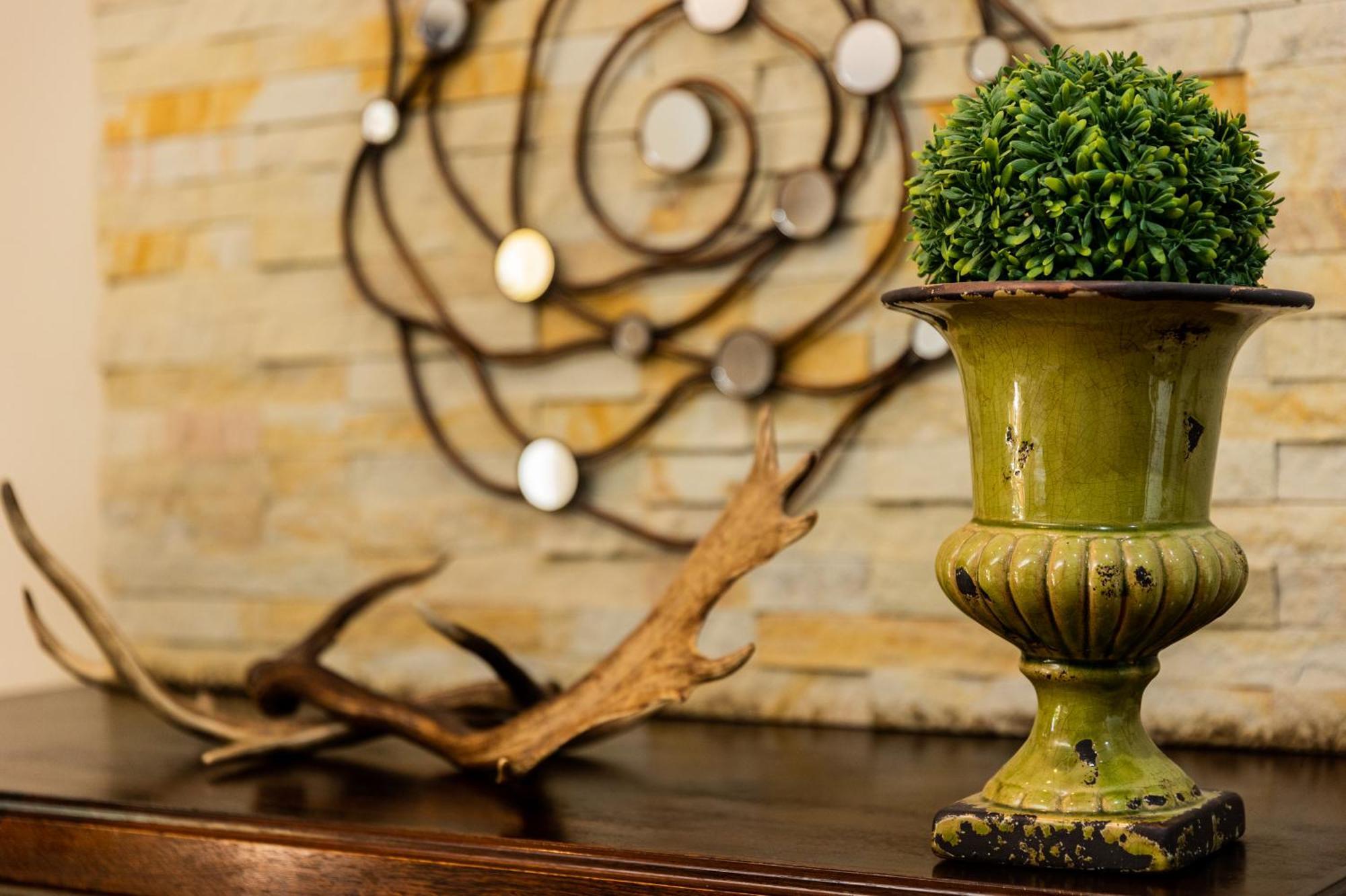 Andes Clarens Guesthouse Ngoại thất bức ảnh